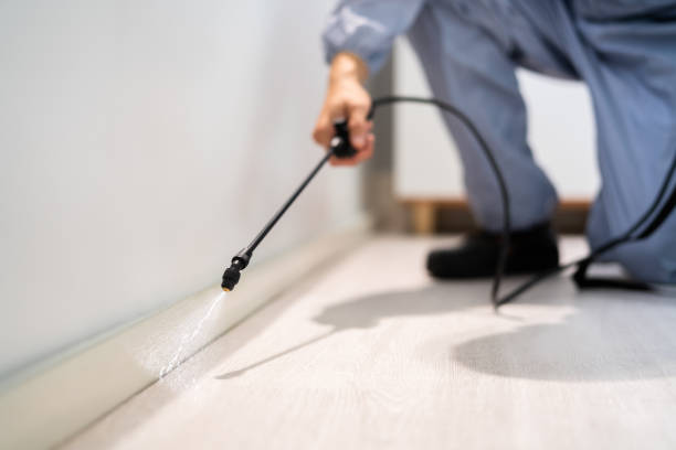 Professional exterminator conducting IPM assessment in Eagle